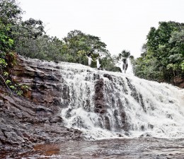 IMG_2612