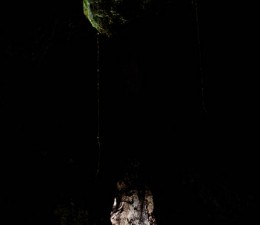 IMG_7354