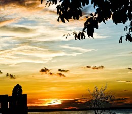 IMG_9150